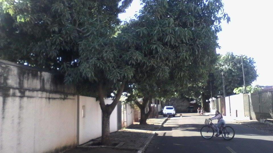 Aconchego Lar Cama E Cafe Acomodação com café da manhã Foz do Iguaçu Exterior foto